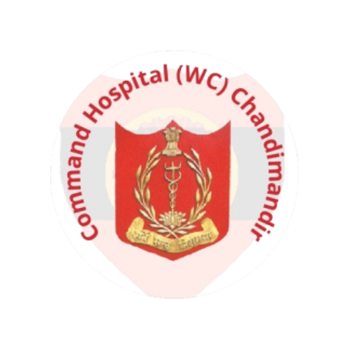 Partner Logo